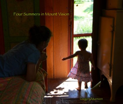 Four Summers in Mount Vision book cover