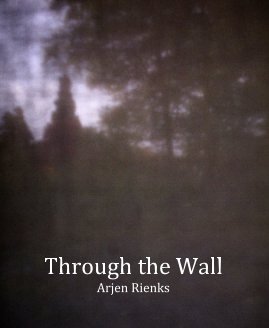 Through the Wall book cover