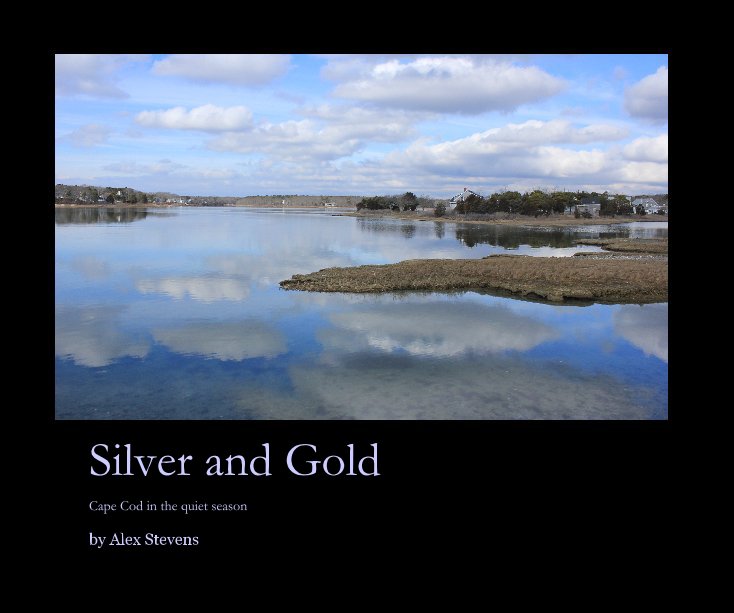View Silver and Gold by Alex Stevens