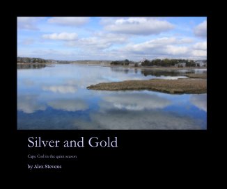 Silver and Gold collection book cover