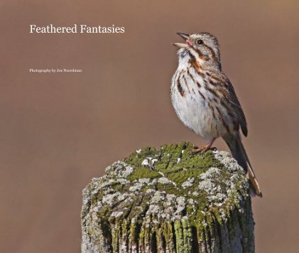 Feathered Fantasies book cover