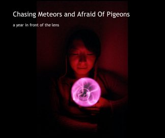 Chasing Meteors and Afraid Of Pigeons book cover