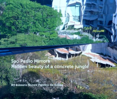 Sao Paulo Mirrors. Hidden beauty of a concrete jungle book cover