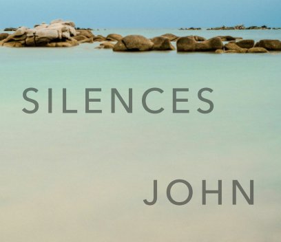 SILENCES JOHN book cover