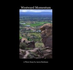 Westward Momentum book cover