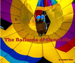 The Balloons of Dansville book cover