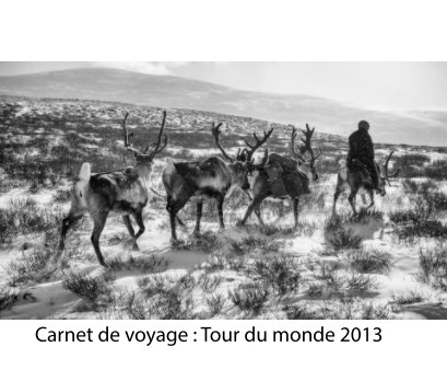Tour du monde 2013 ! book cover
