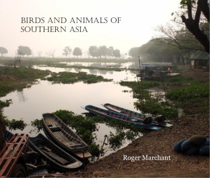 Birds and Animals of Southern Asia book cover