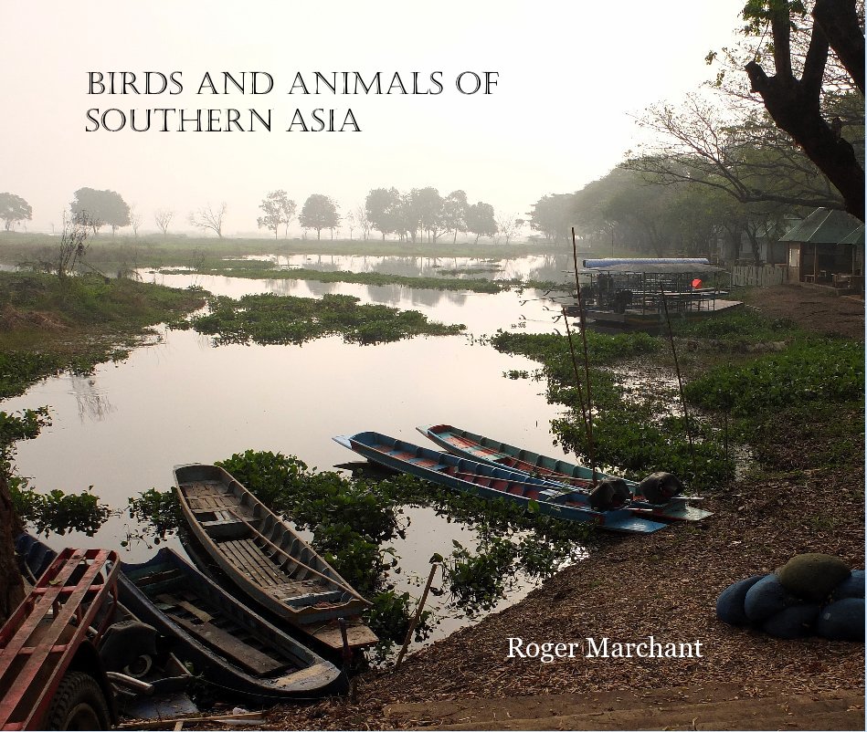 Ver Birds and Animals of Southern Asia por Roger Marchant