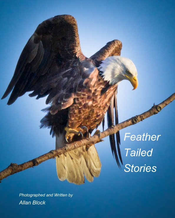 View Feather Tailed Stories by Allan Block