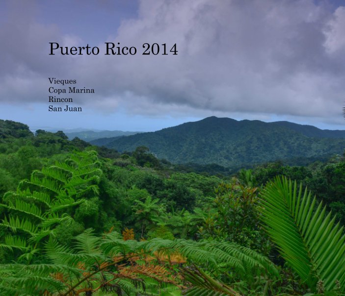 View Puerto Rico 2014 by David Perelman-Hall