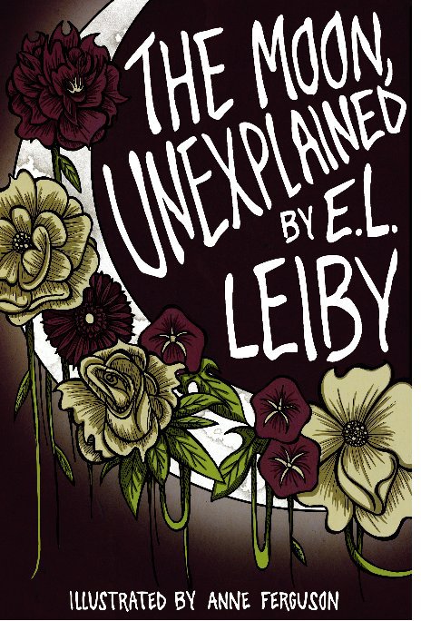 View The Moon Unexplained by E. L. Leiby