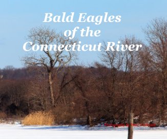 Bald Eagles of the Connecticut River Photography by Peter J Urbanik book cover