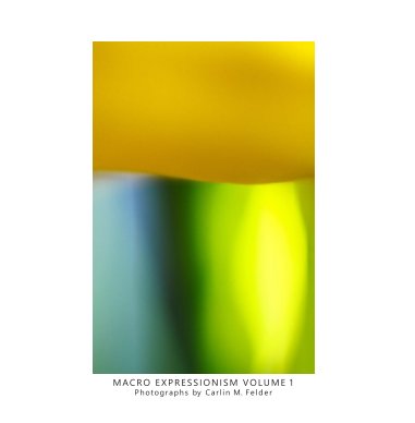 Carlin Felder Macro Expressionism Volume I book cover