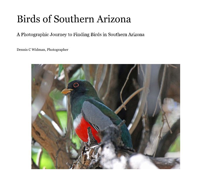 View Birds of Southern Arizona by Dennis C Widman, Photographer