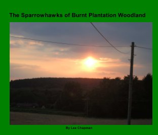 The Sparrowhawks of Burn Plantation Woodland book cover