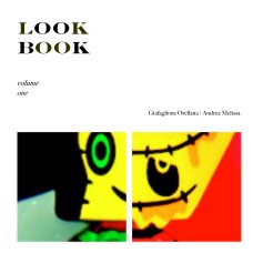 LOOK BOOK book cover