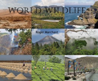 World Wildlife book cover