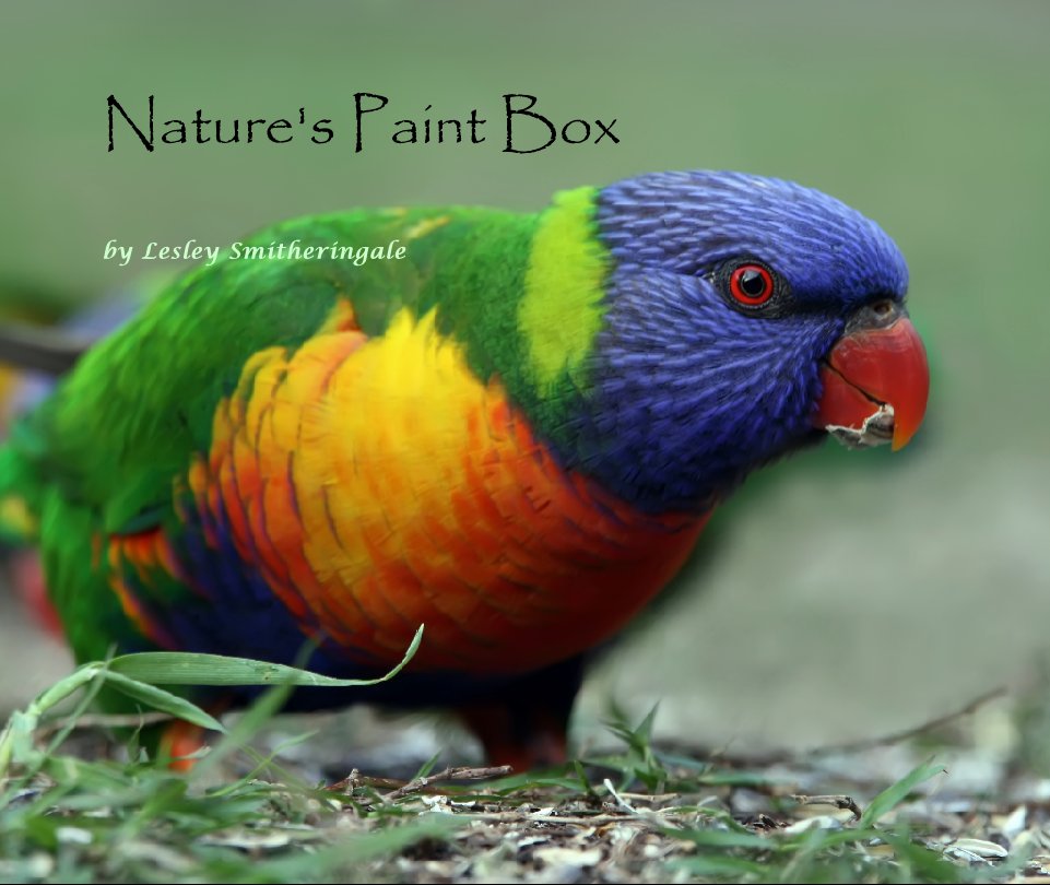 Bekijk Nature's Paint Box op Lesley Smitheringale