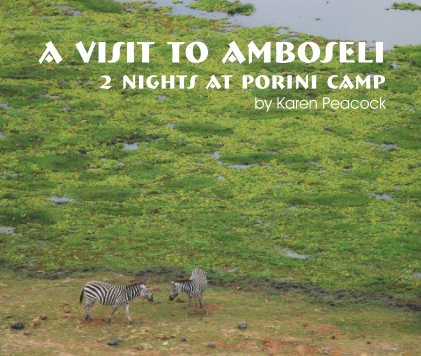 A Visit To Amboseli book cover