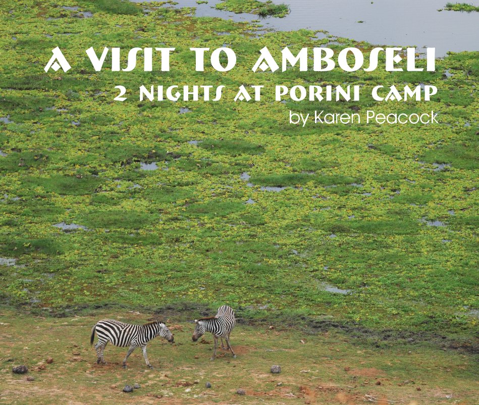 Ver A Visit To Amboseli por Karen Peacock