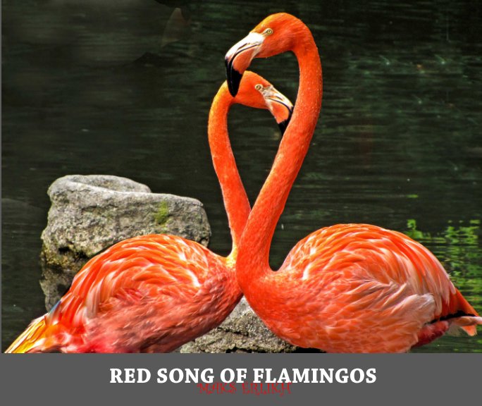 View RED SONG OF FLAMINGOS by MAKS ERLIKH