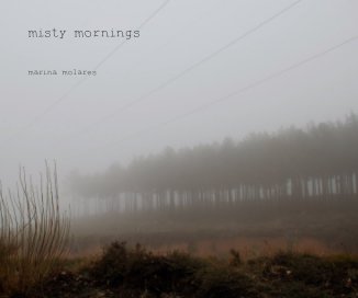 misty mornings book cover