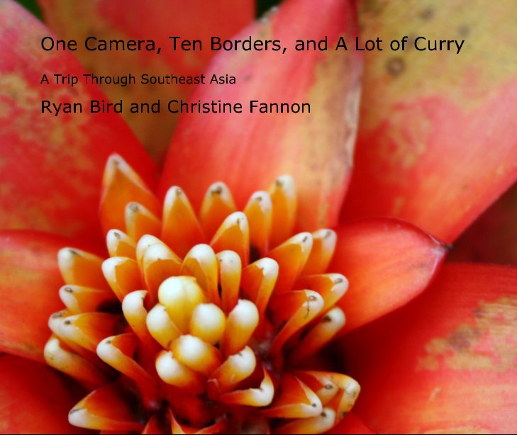 Visualizza One Camera, Ten Borders, and A Lot of Curry di Ryan Bird and Christine Fannon
