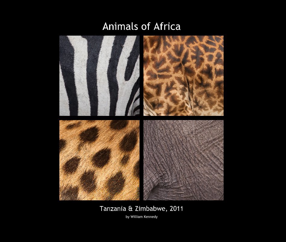 View Animals of Africa by William Kennedy
