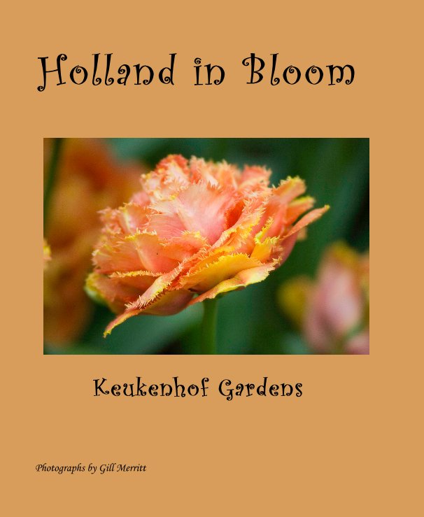 View Holland in Bloom by Photographs by Gill Merritt