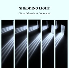 SHEDDING LIGHT book cover