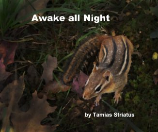 Awake all Night book cover