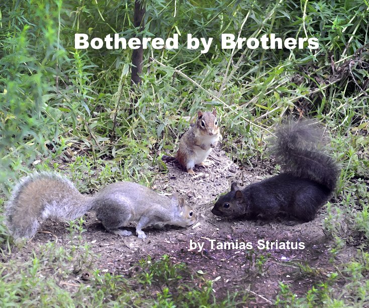 View Bothered by Brothers by Tamias Striatus