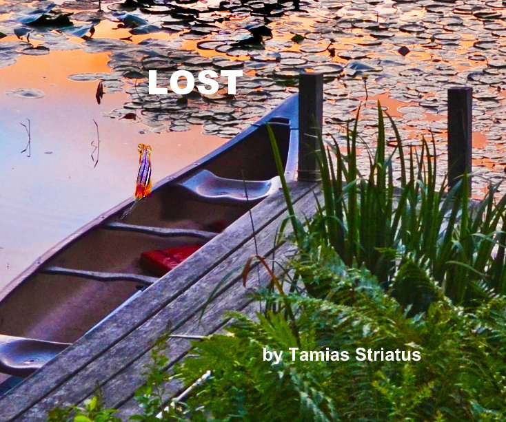 View LOST by Tamias Striatus