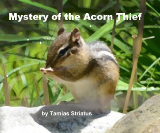 Mystery of the Acorn Thief book cover