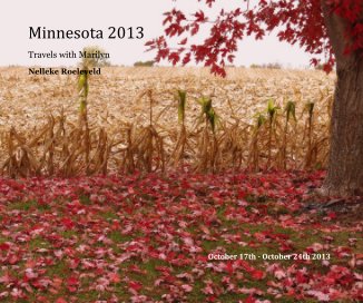 Minnesota 2013 book cover