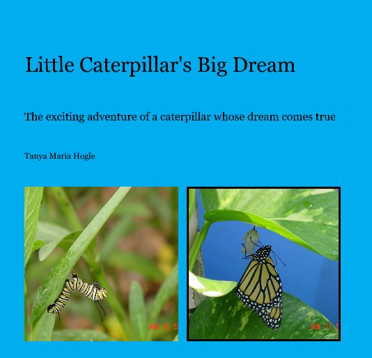 Little Caterpillar's Big Dream nach Tanya Maria Hogle anzeigen