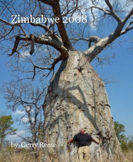 Zimbabwe 2008 book cover