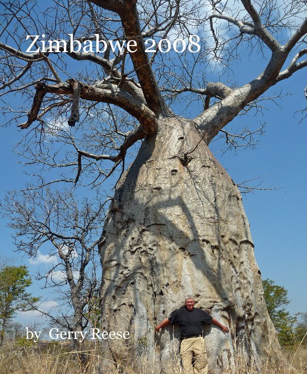View Zimbabwe 2008 by Gerry Reese
