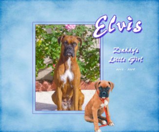 Elvis - Daddy's Little Girl book cover