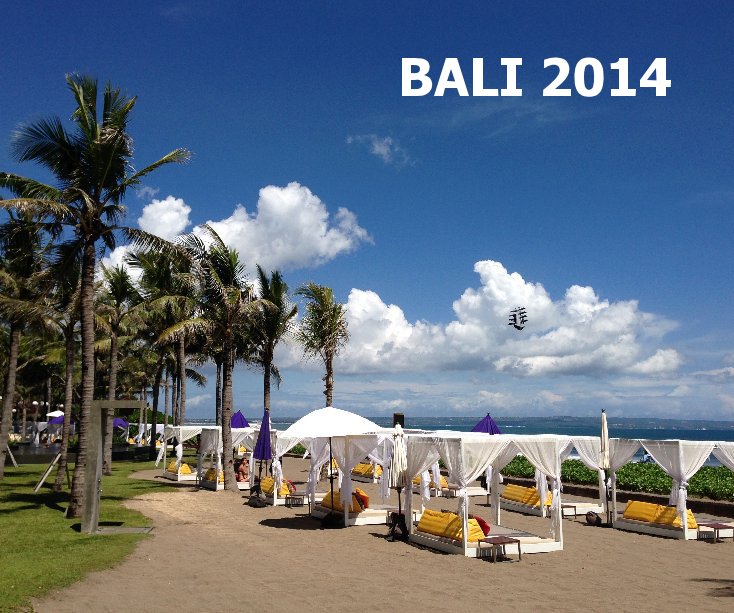 View BALI 2014 by Jane Loukes