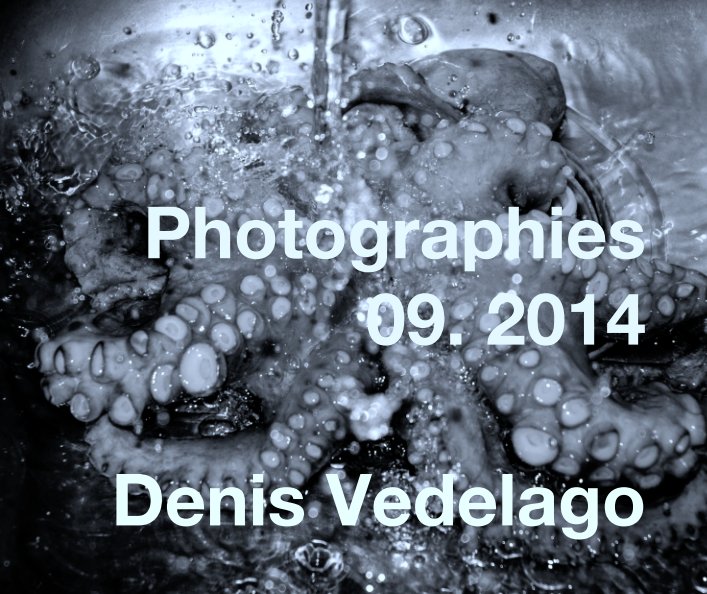 Bekijk Photographies 09. 2014 op Denis Vedelago