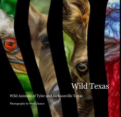 Wild Texas book cover