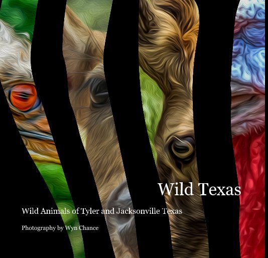 Ver Wild Texas por Photography by Wyn Chance