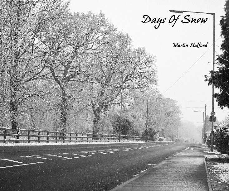 View Days Of Snow by Martin Stafford