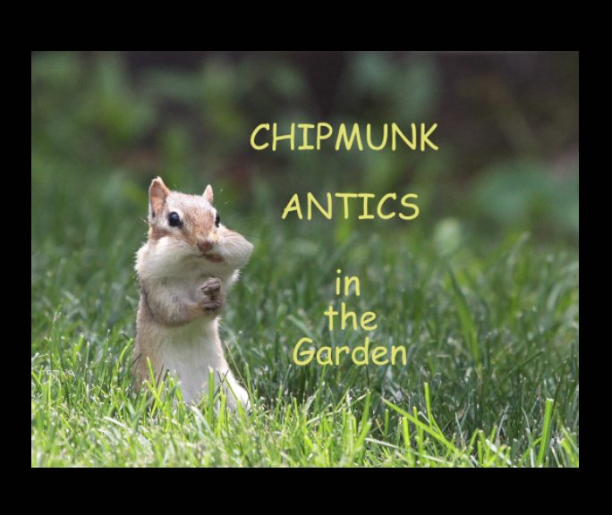 View Chipmunk Antics in the Garden by Linda B. Bridgeman