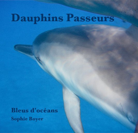 View Dauphins Passeurs by Sophie Boyer