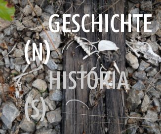 GESCHICHTE (N) HISTÓRIA (S) book cover