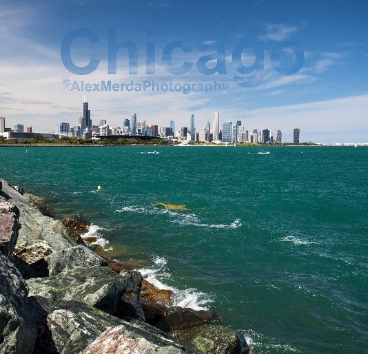 View chicago by Alex Merda