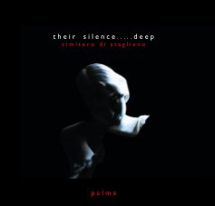 their silence . . . . . deep book cover